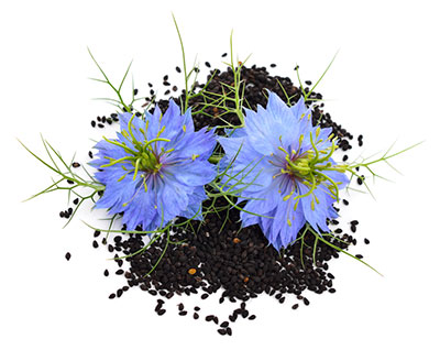 Nigella Sativa